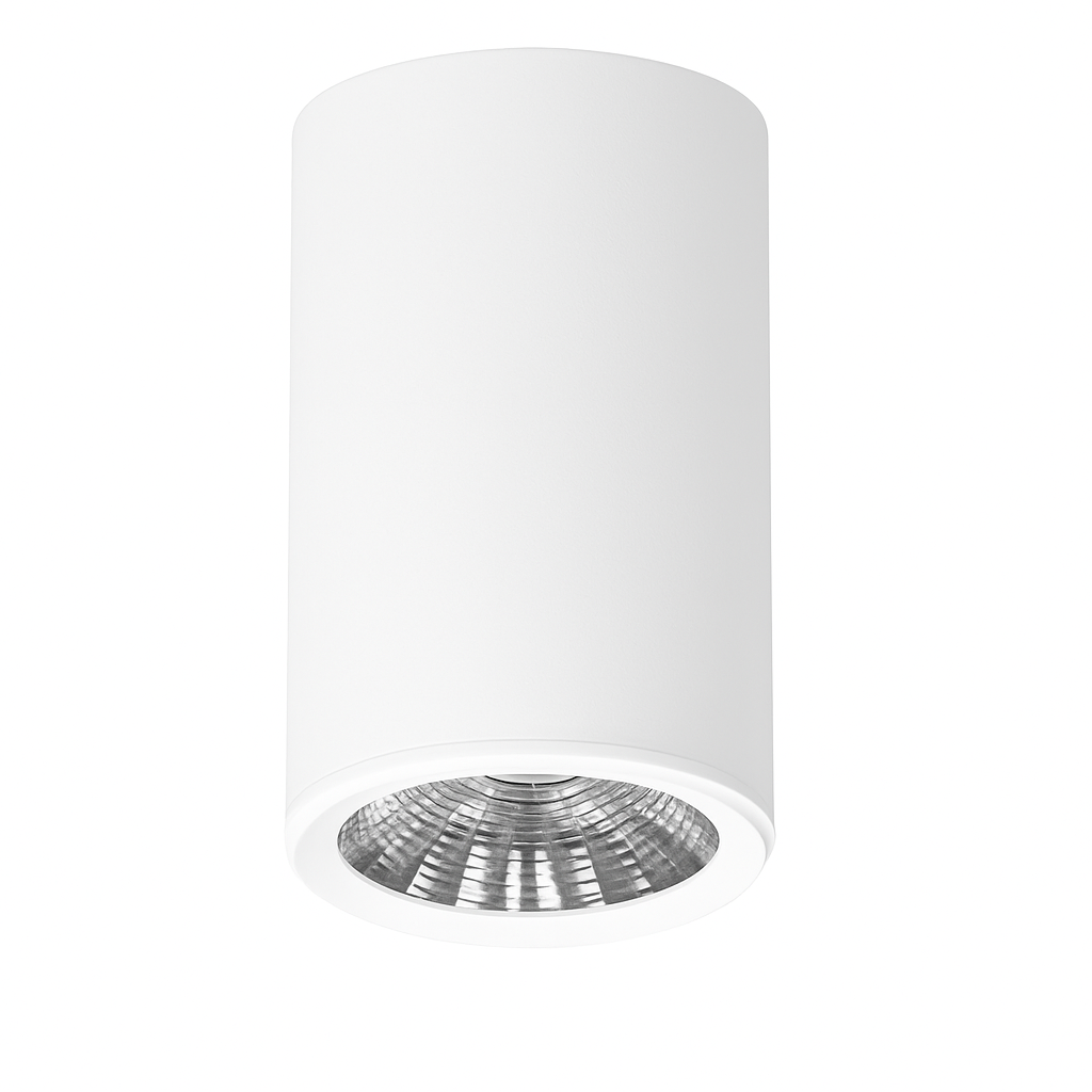 Surface Mounted Downlight